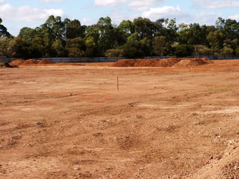 Easement Land Clearing