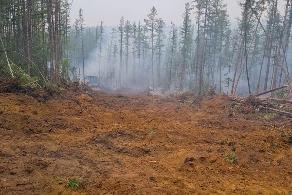 Cost of Hill Clearing in Bryan